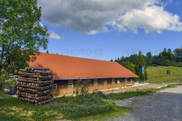 Lumberyard near Wengen in Allgaeu