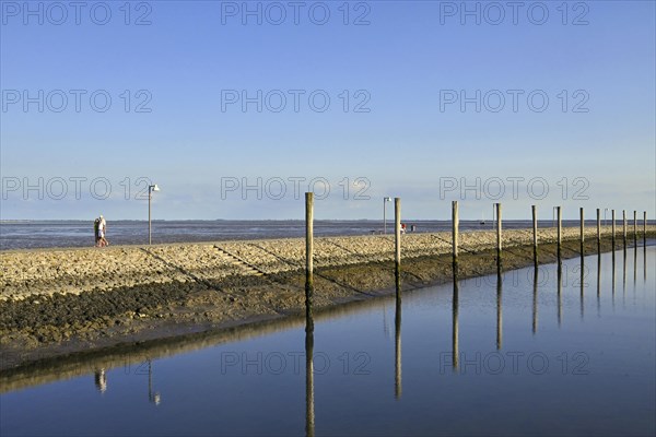 Jetty and dolphins at Juist marina