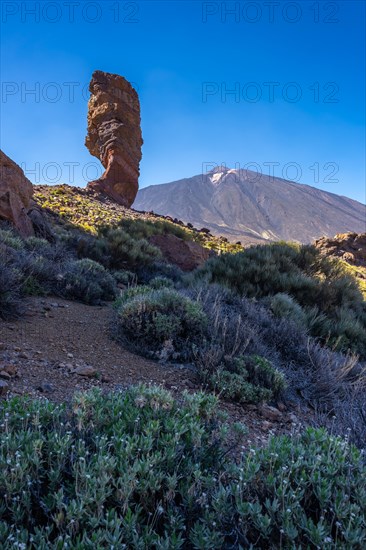 Roque Cinchado and in the background the Teide volcano in the natural area of Teide in Tenerife