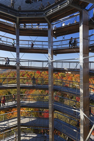 Tree top pad