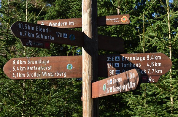 Signposts in the Harz Mountains