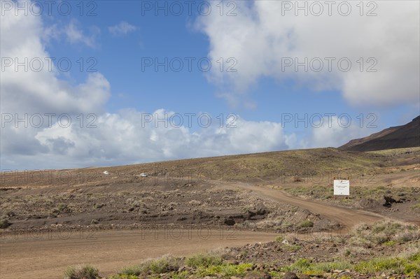 Gravel road through the Jandai nature park Park