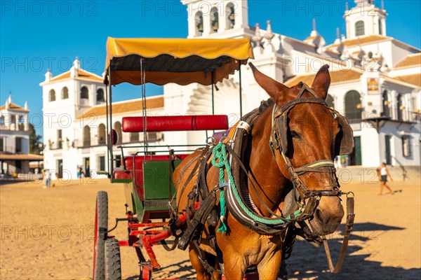 Horses and carriages in the Rocio sanctuary at the Rocio festival in summer