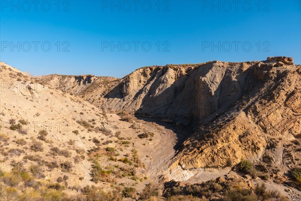 Tabernas desert