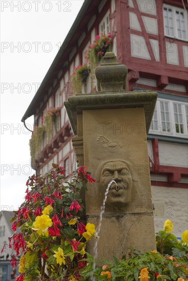 Market Fountain