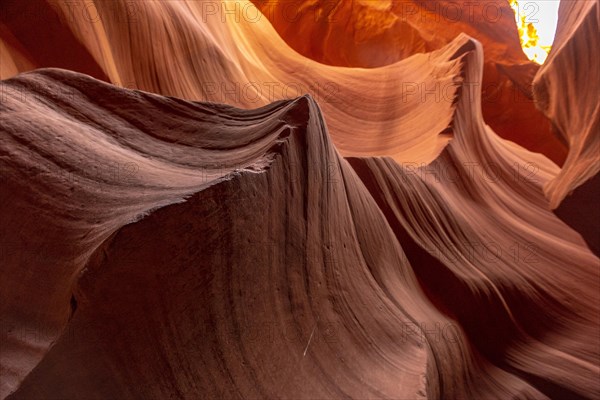 The wonders seen in Lower Antelope looking up. Arizona