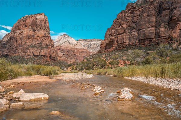 The beautiful mountain that climbs on the Angels Landing Trail trekking in Zion National Park