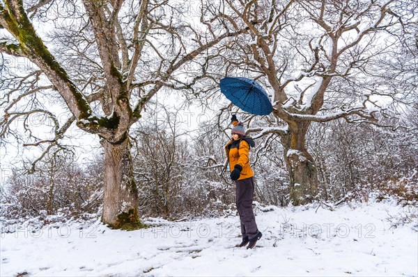 A young woman in a yellow jacket and an umbrella playing with the snow on a tree branch. Snow in the town of Opakua near Vitoria in Araba