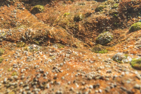 Diving in a beautiful seabed in the town of Zarautz very close to San Sebastian