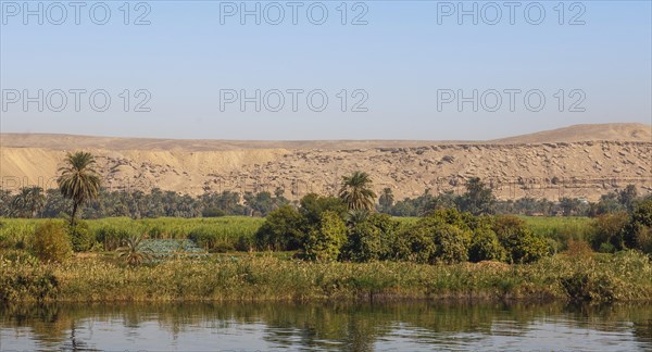 Landscape on the Nile