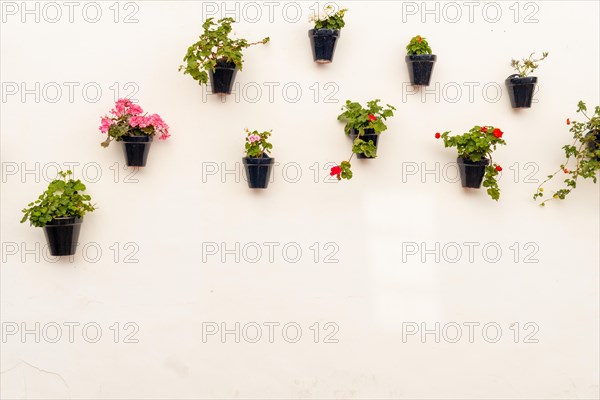 Pots with flowers in the white houses of the town of Nerja