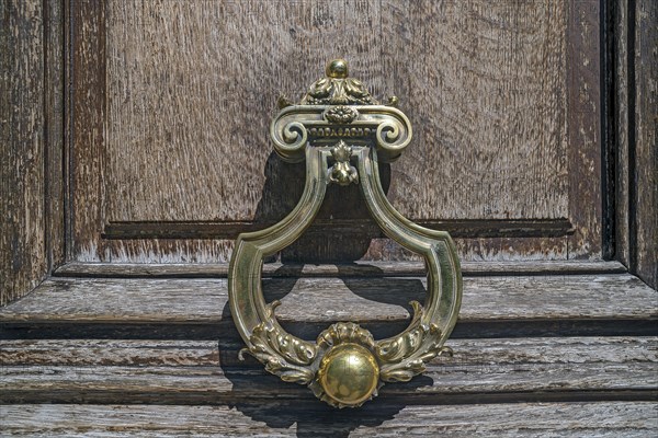 Historic door knocker on a front door