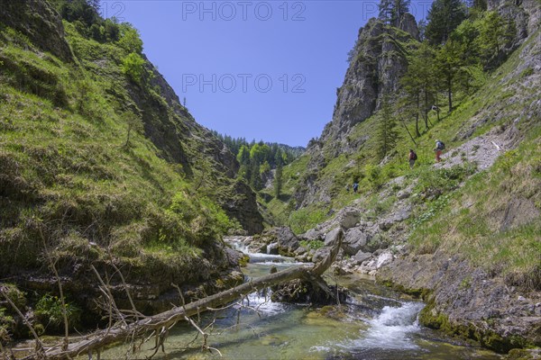 Oetscherbach in the Oetschergraben