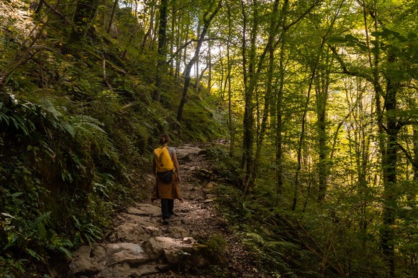 A young woman on the trail heading to Passerelle de Holtzarte de Larrau in the forest or jungle of Irati