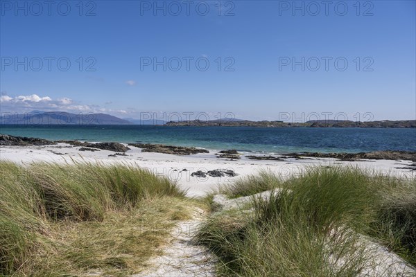 Sandy beach beach