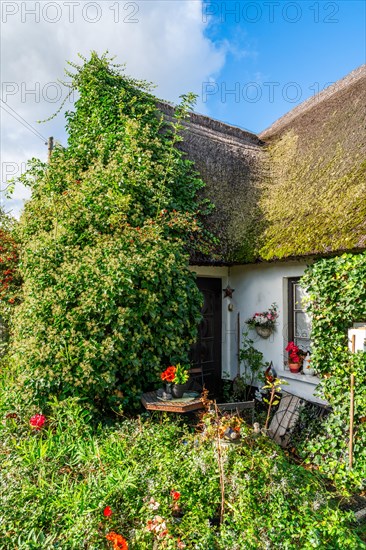 Garden and thatched house in the fishing village of Wieck