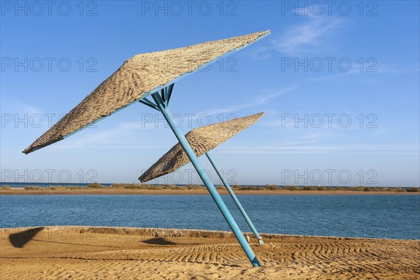 Parasols on the Red Sea