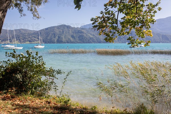 Attersee