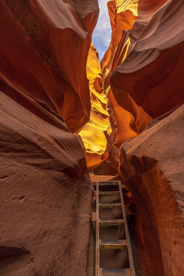 One of the scalars inside Lower Antelope