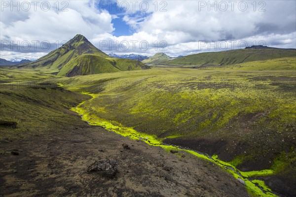 A green mountain and a beautiful river of moss on the 54 km trek from Landmannalaugar
