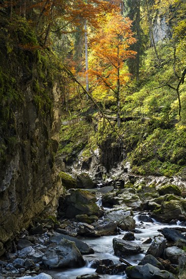 The Breitachklamm gorge