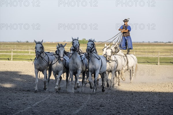 Riding demonstration