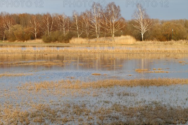 Polder