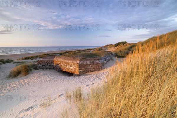 Destroyed bunkers in the dunes of Dunkirk