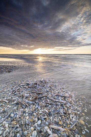 Sunset on the beach of De Panne