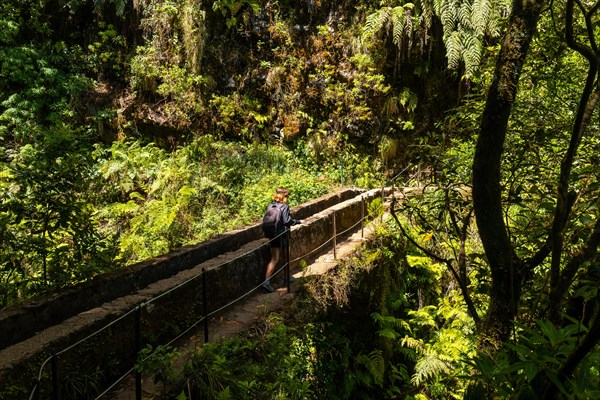 A young woman on a bridge on the Levada do Caldeirao Verde trail