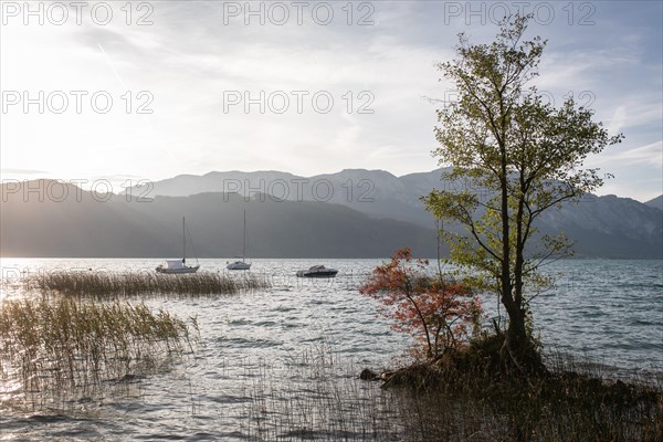 Attersee in front of Hoellengebirge