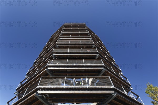 Tree top observation tower