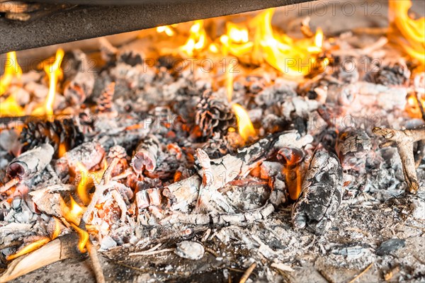 Firewood embers of the Valencian paella with embers and vegetables. Traditional Spanish food