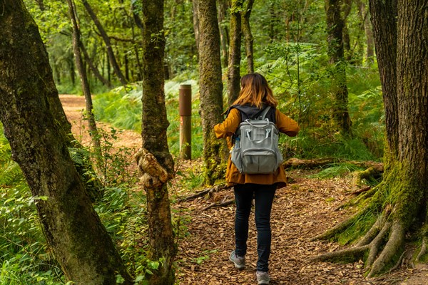 A young woman trekking on Lake Paimpont in the Broceliande forest