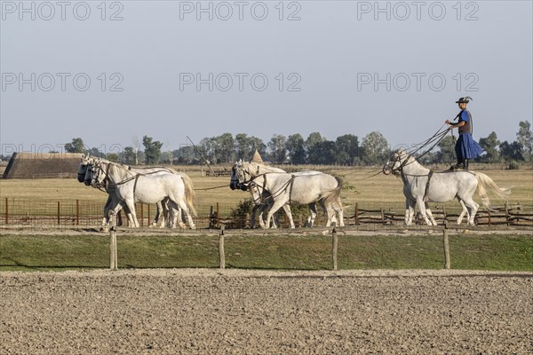 Riding demonstration