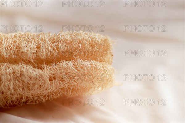 Close up to a loofah sponge