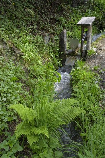 Water wheel at the Leiterwaal