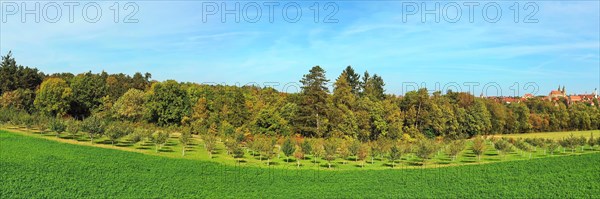 Aerial view of Rothenburg ob der Tauber with a view of the Wedding Forest. Rothenburg ob der Tauber