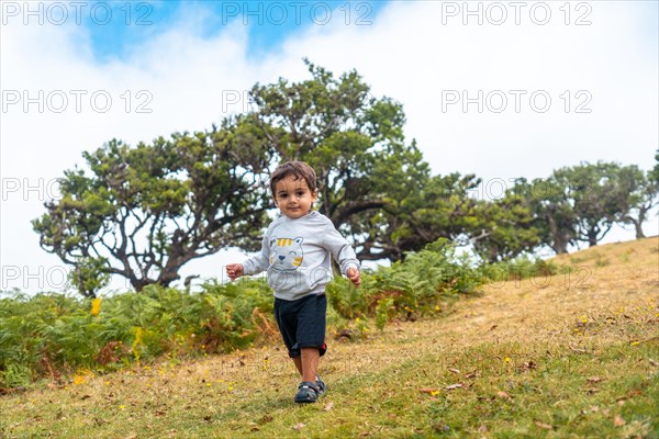 Fanal forest in Madeira