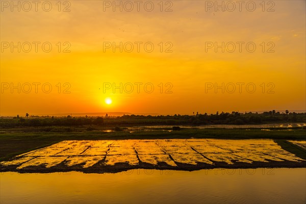 Cropland on the shore at sunset on the Nile river cruise. Egypt. Sailing from Luxor to Aswan