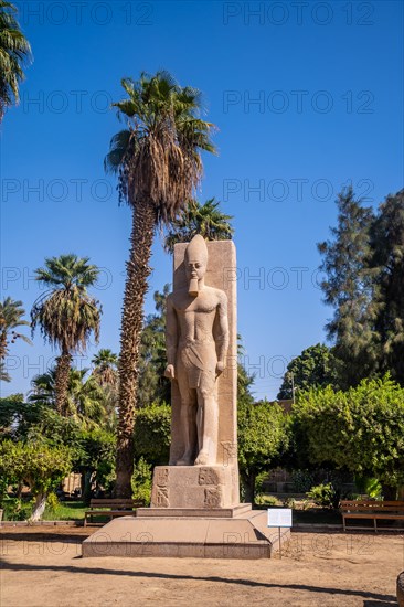 Detail of the sculpture between the palm trees of Pharaoh Ramses II at Memphis in Cairo