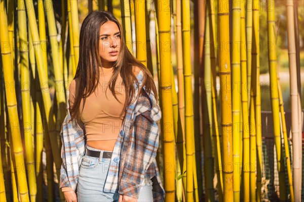 Autumn lifestyle in a bamboo forest