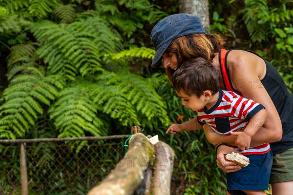 A mother with her child feeding at the start of the Levada do Caldeirao Verde