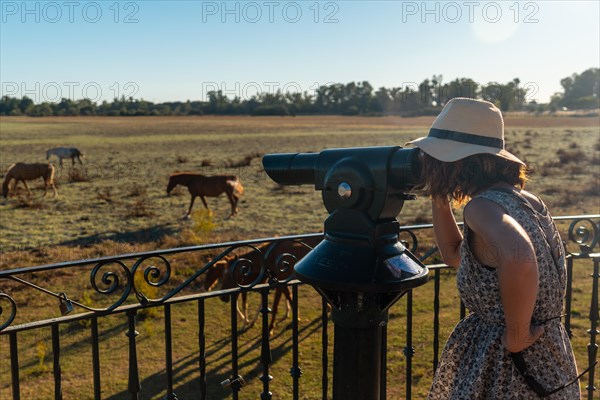 A young tourist with binoculars looking at the horses grazing in the Donana park