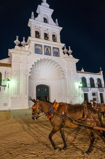 Horse next to the sanctuary of Rocio in the fiesta del rocio at night