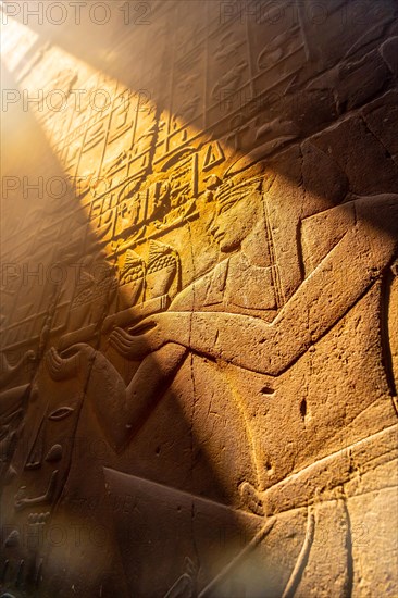 Detail of beautiful natural light on an ancient egyptian drawings inside the Luxor Temple