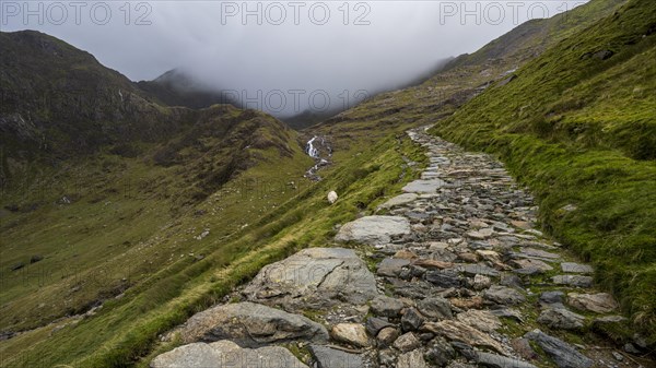 Hiking trail in Snowdonia National Park