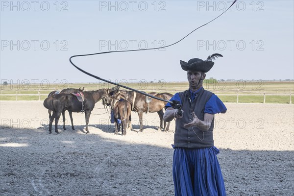 Cracking the whip with the Hungarian shepherd's whip