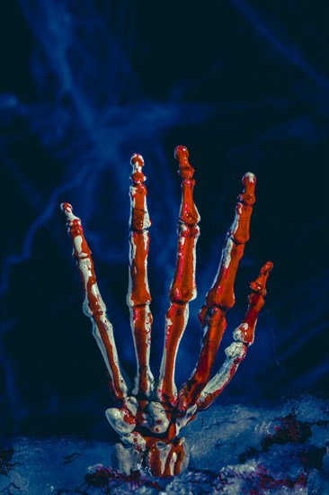 Bloodied skeleton hand in front of artificial cobwebs