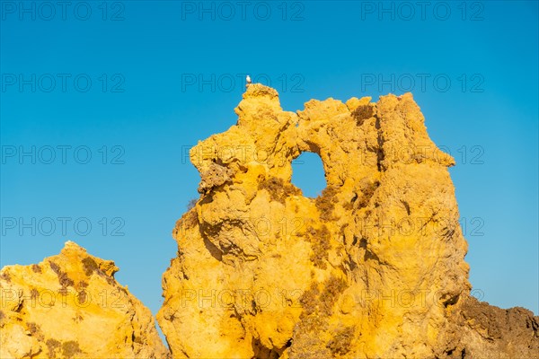 Detail of the rocks at Praia dos Arrifes